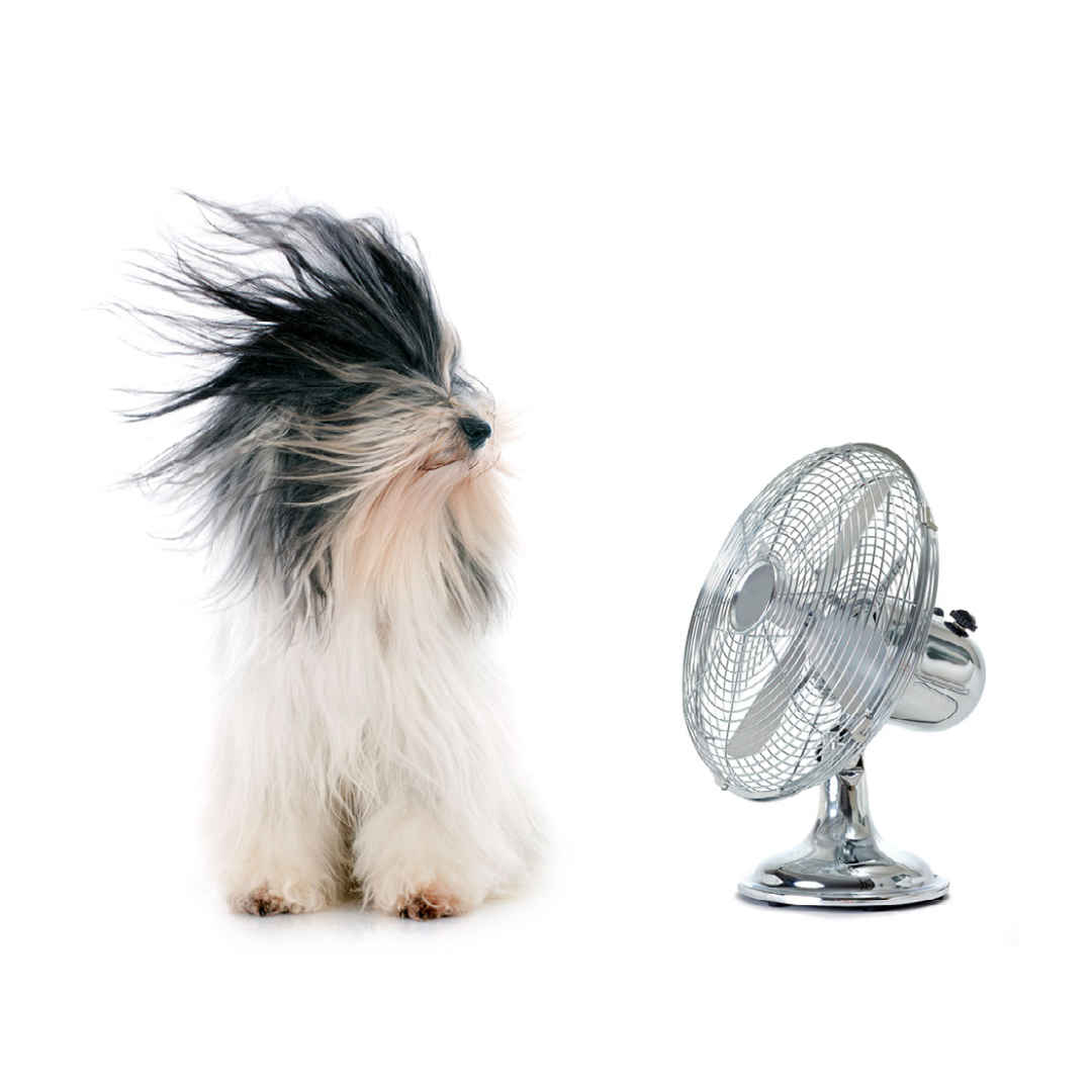 Beat the heat this summer with an air conditioning unit